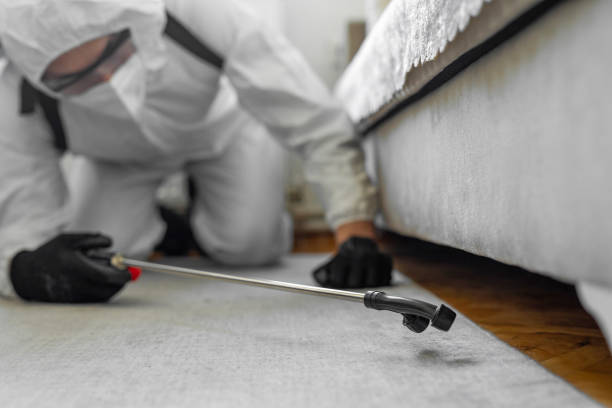 Professional Cockroach Control technician working in Lake Summerset, IL