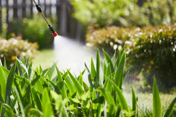 24/7 Emergency Cockroach Control experts in Lake Summerset, IL