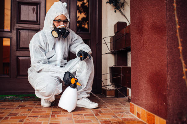 Reliable Cockroach Control contractor in Lake Summerset, IL by Nex Pest Control